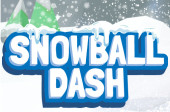 Snowball Dash: A Fun and Fast-Paced Game for All Ages