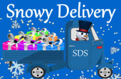SNOWY DELIVERY